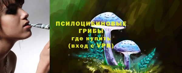 ешки Абаза