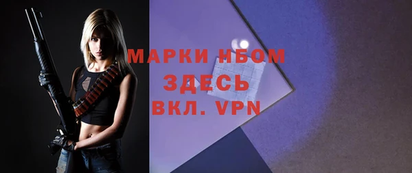 стафф Алексин