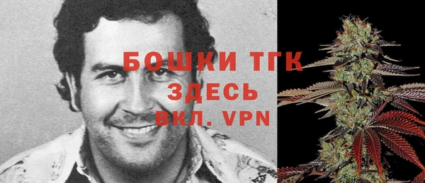 стафф Алексин